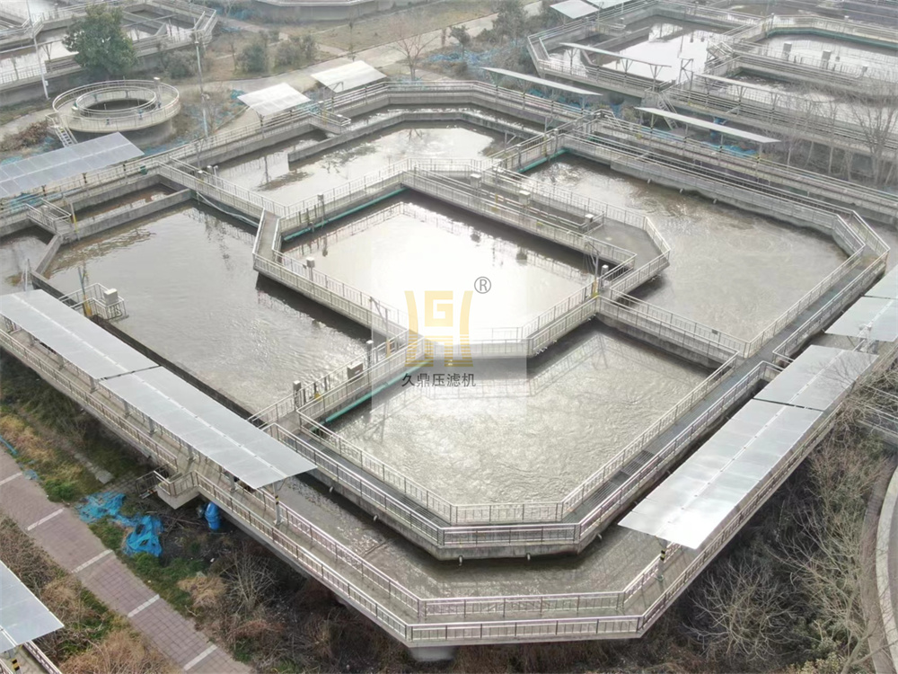 1765261145452942.jpg 1 (124).jpg